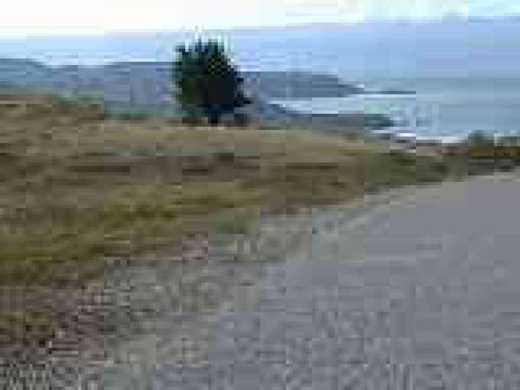 Ocean view