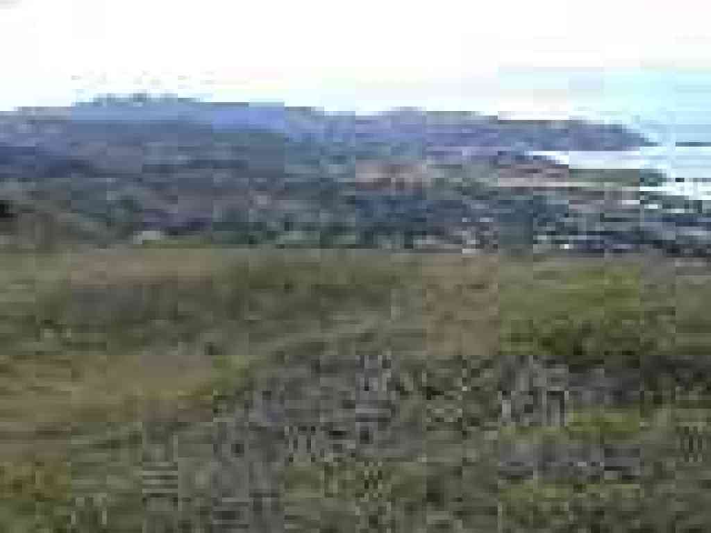 View south
