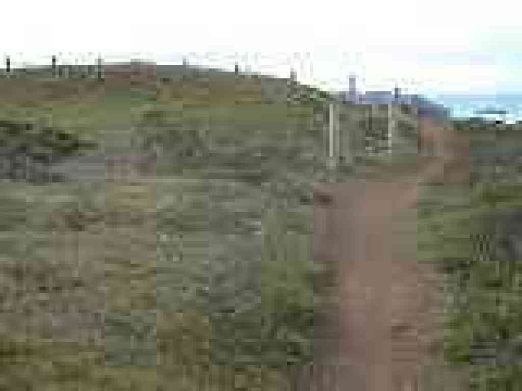 Near the edge of the hill