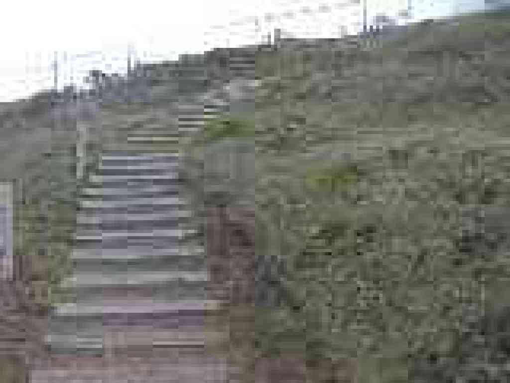 Steps
