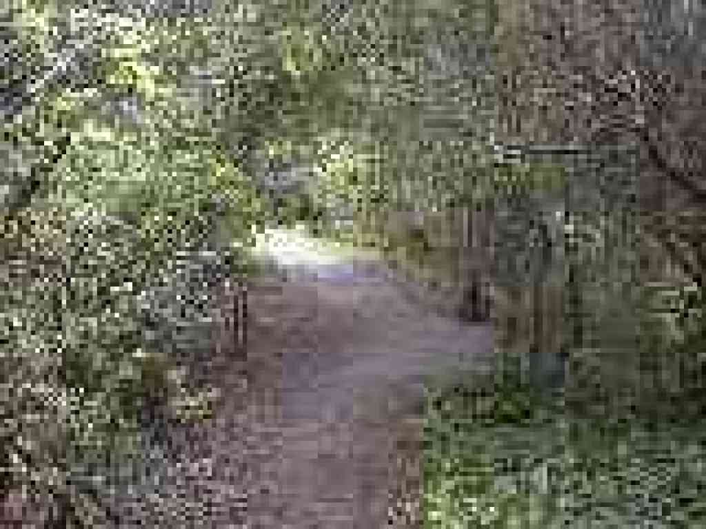 Trail splits; stay right