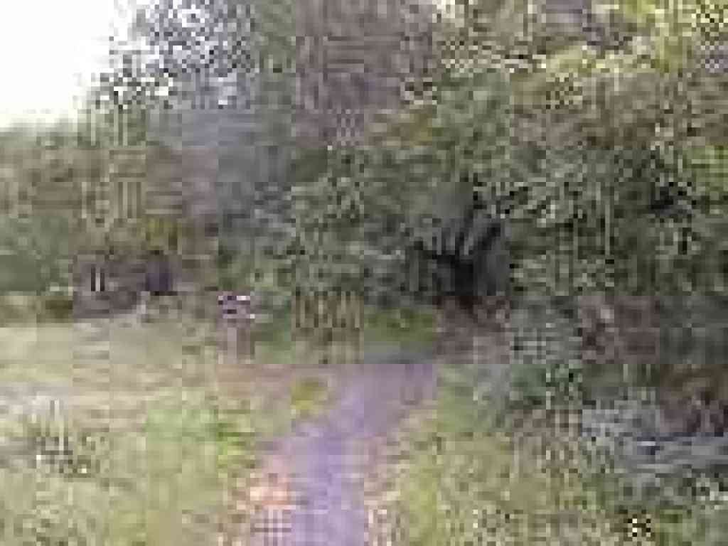 Signpost point you to the right