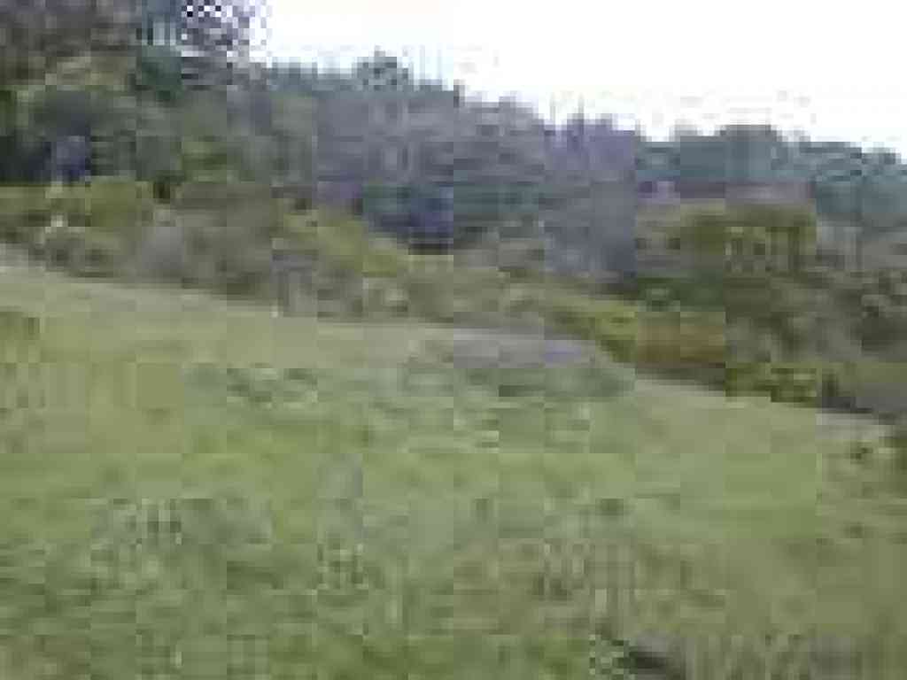 Sloping grassy meadow
