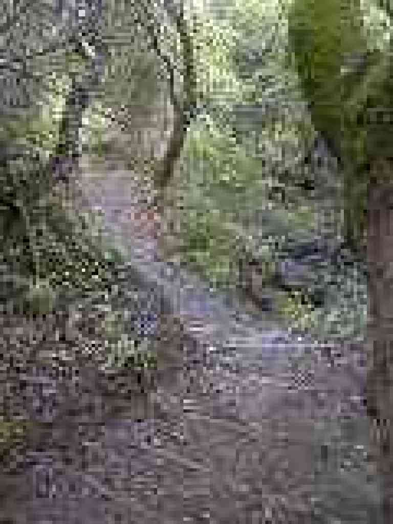 Steps