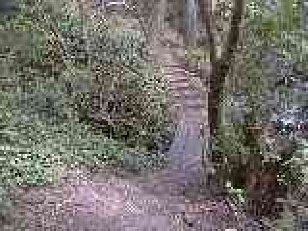 More steps