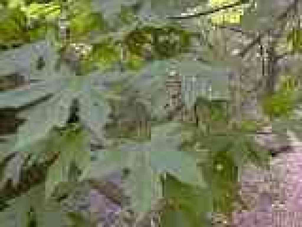 Maple