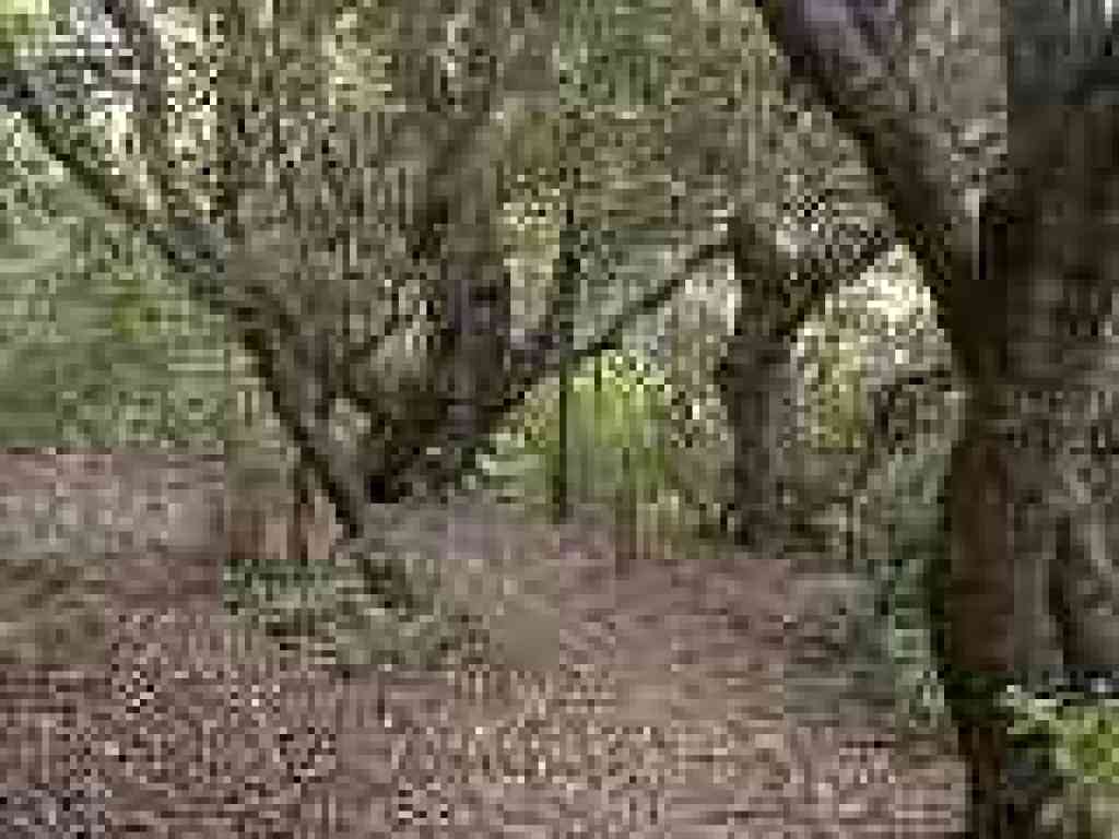 Near the nature area boundary
