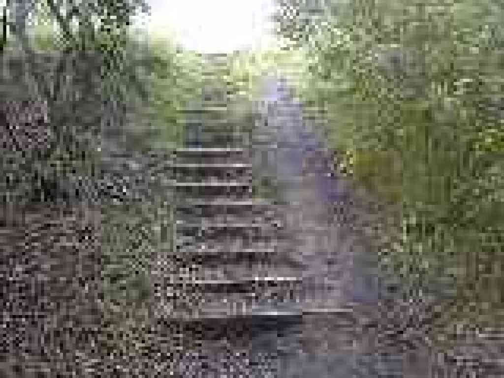 Climb