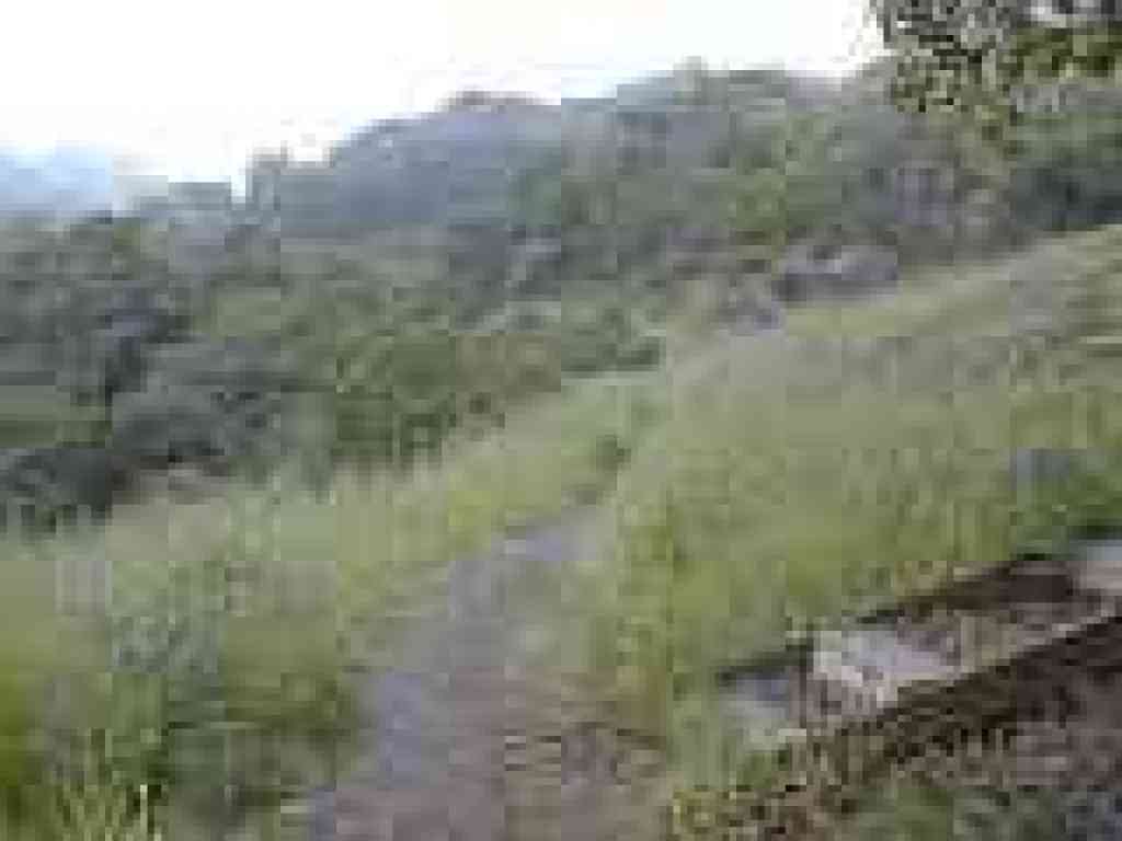 Steps out of nature area