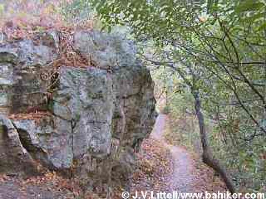 Boulder on trail at Mills Canyon
