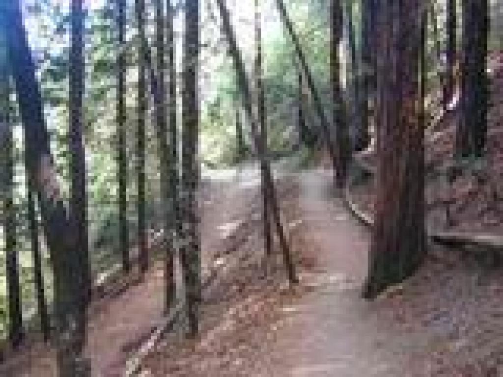 Returning downhill