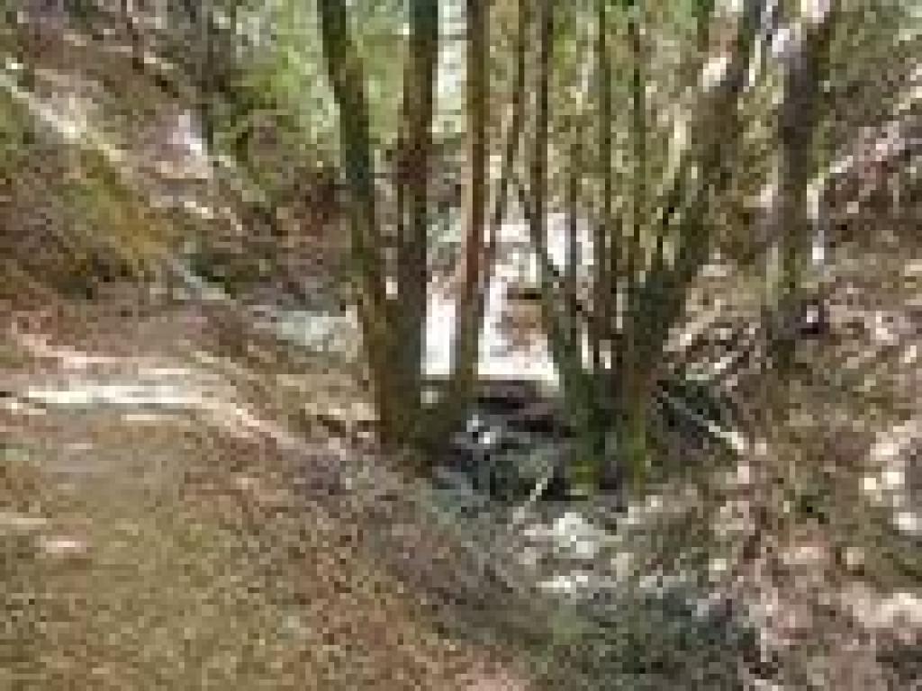 Crossing Wildcat Creek