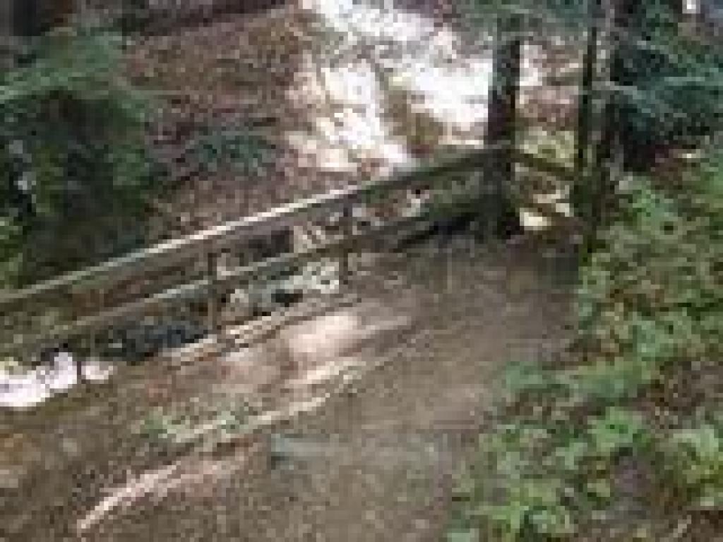 Near Wildcat Creek