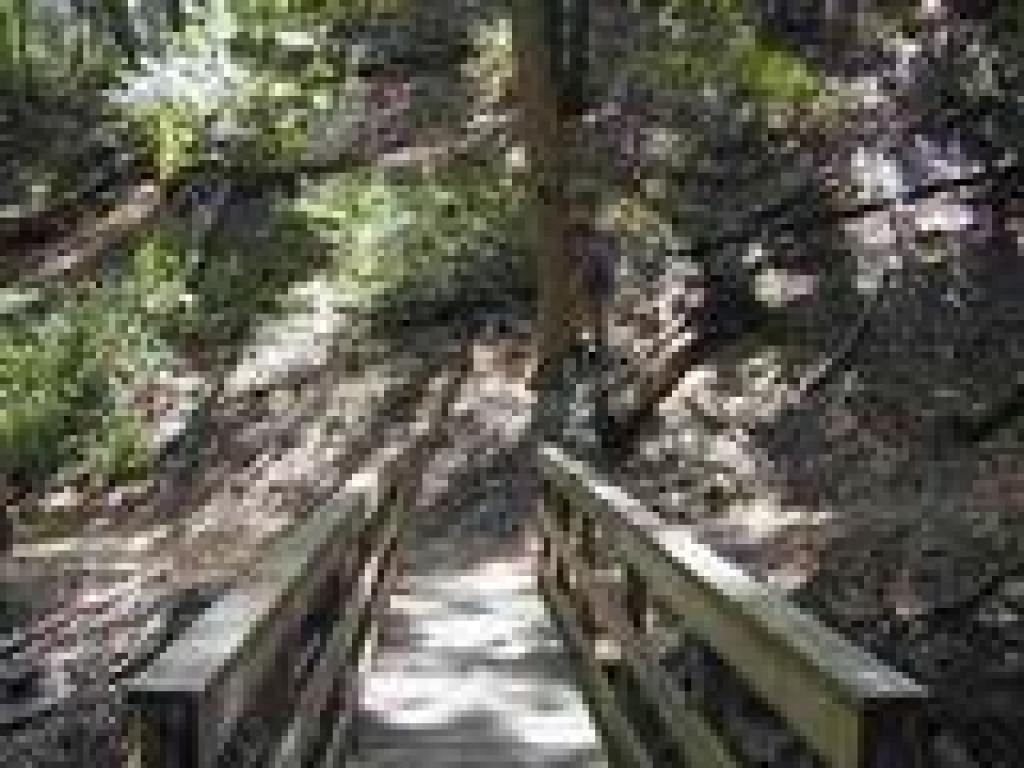 Bridge