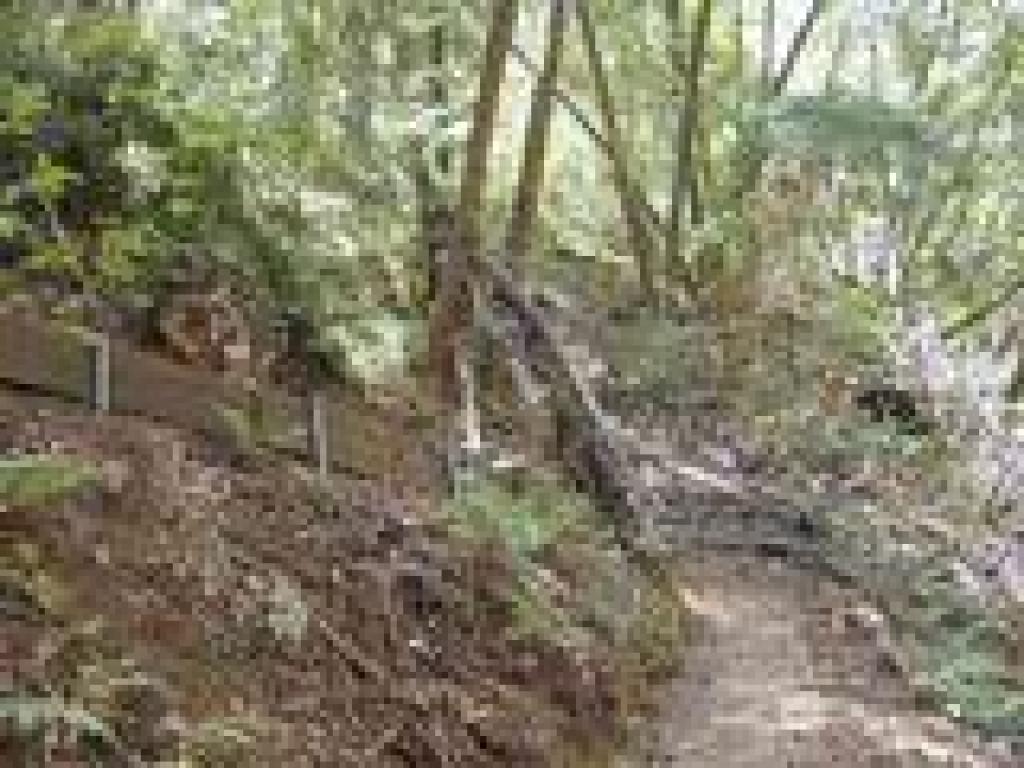 Switchback