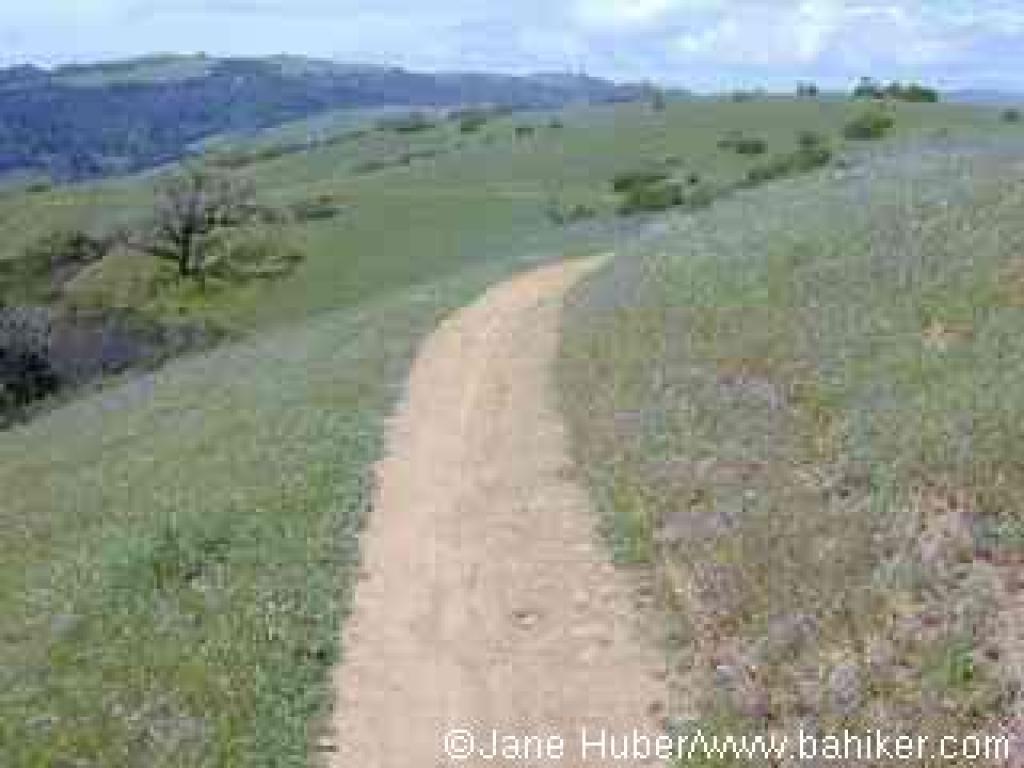 Old Ranch Trail