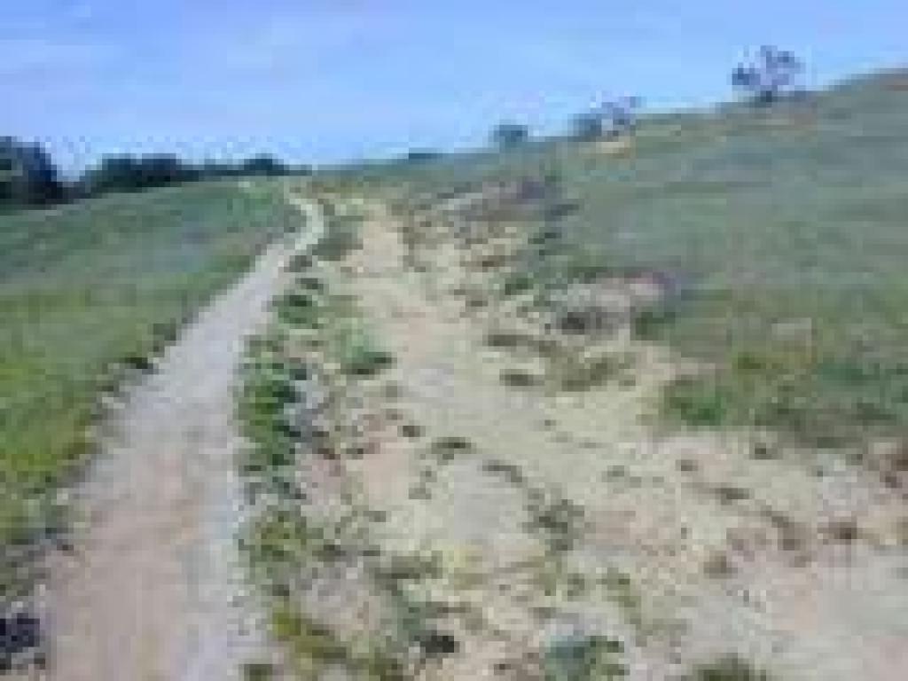 Rutted trail