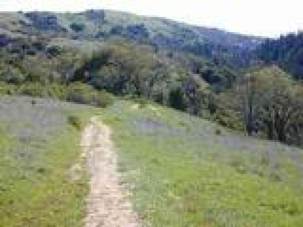 Heading down into the canyon