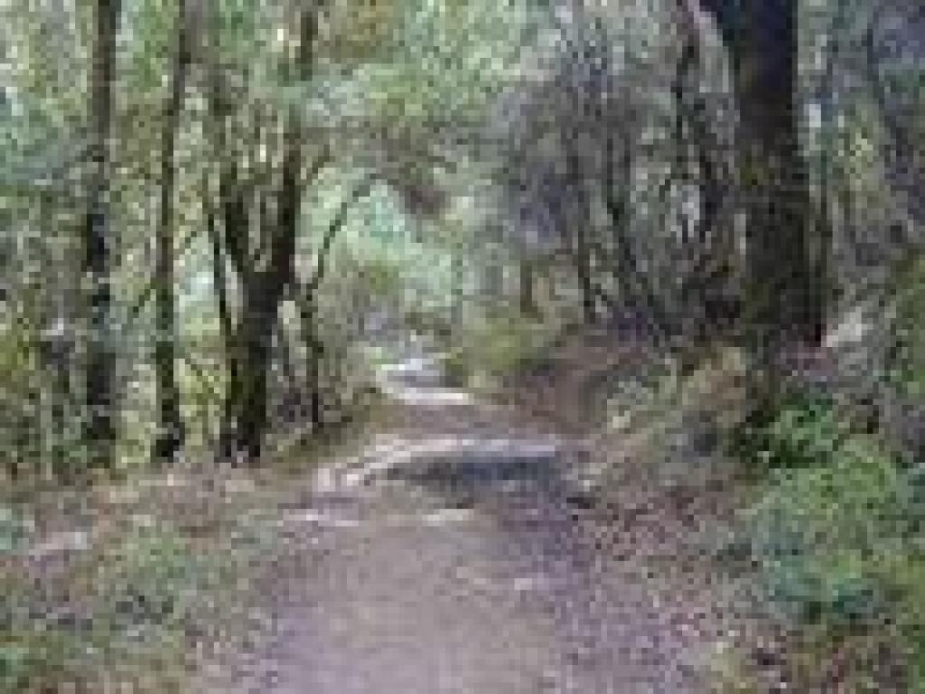 Stevens Creek Nature Trail