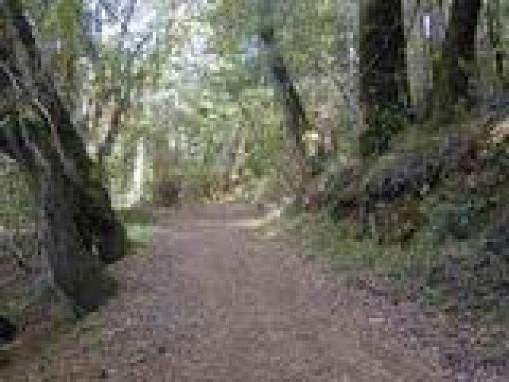 Climbing out of the canyon