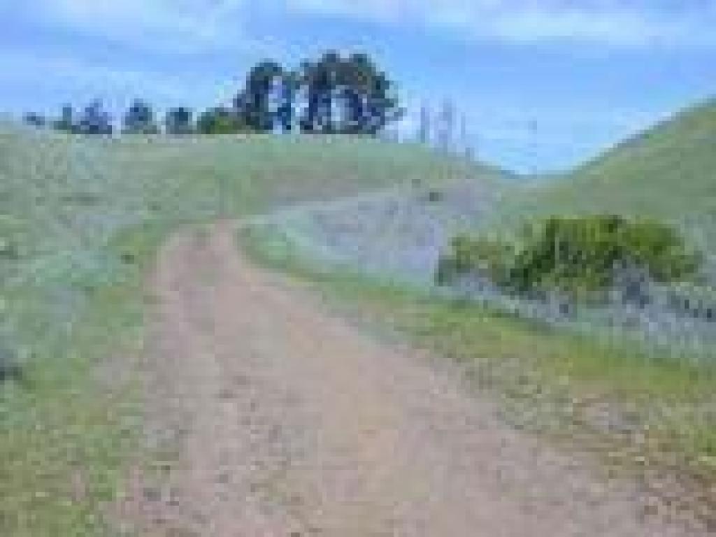 Approaching the ridge