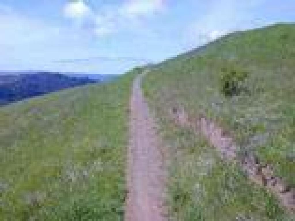 Path to backpack camp