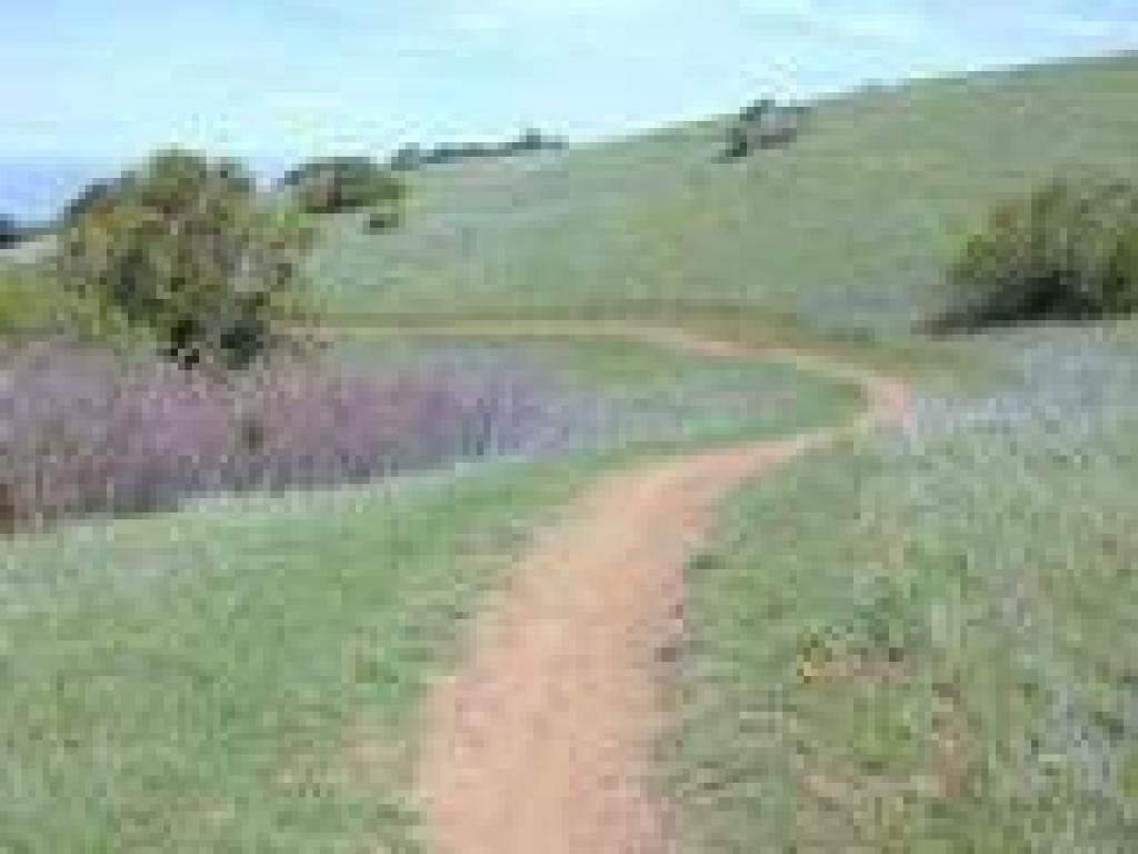 Curving around the top of a ravine