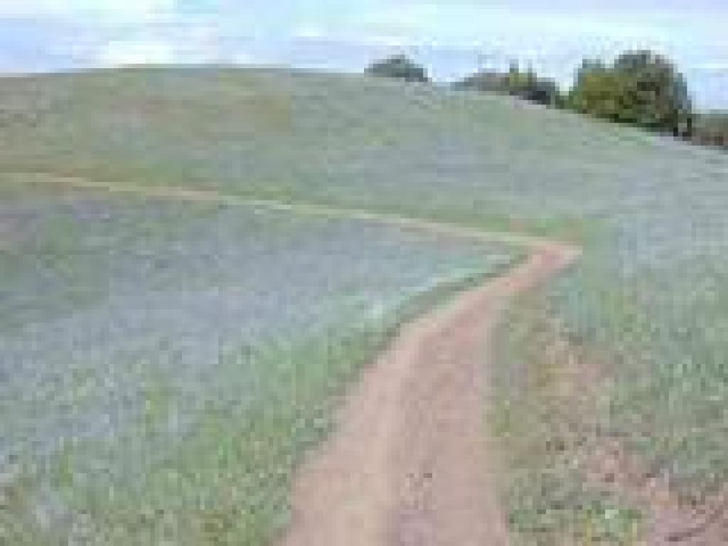 Sticking close to the ridgeline