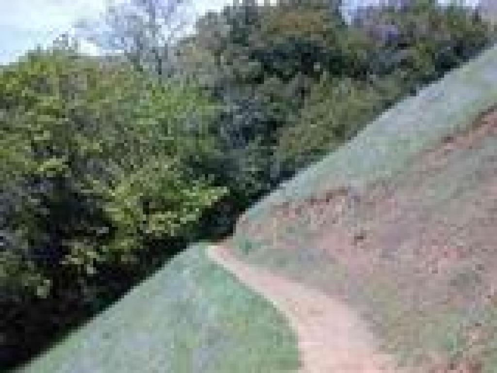 Heading into the shade