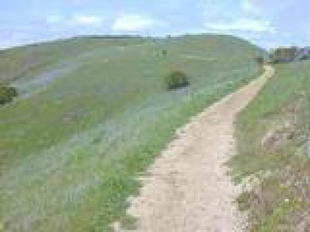 Heading back to the trailhead