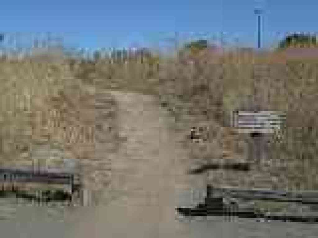 Start of White Oak Trail