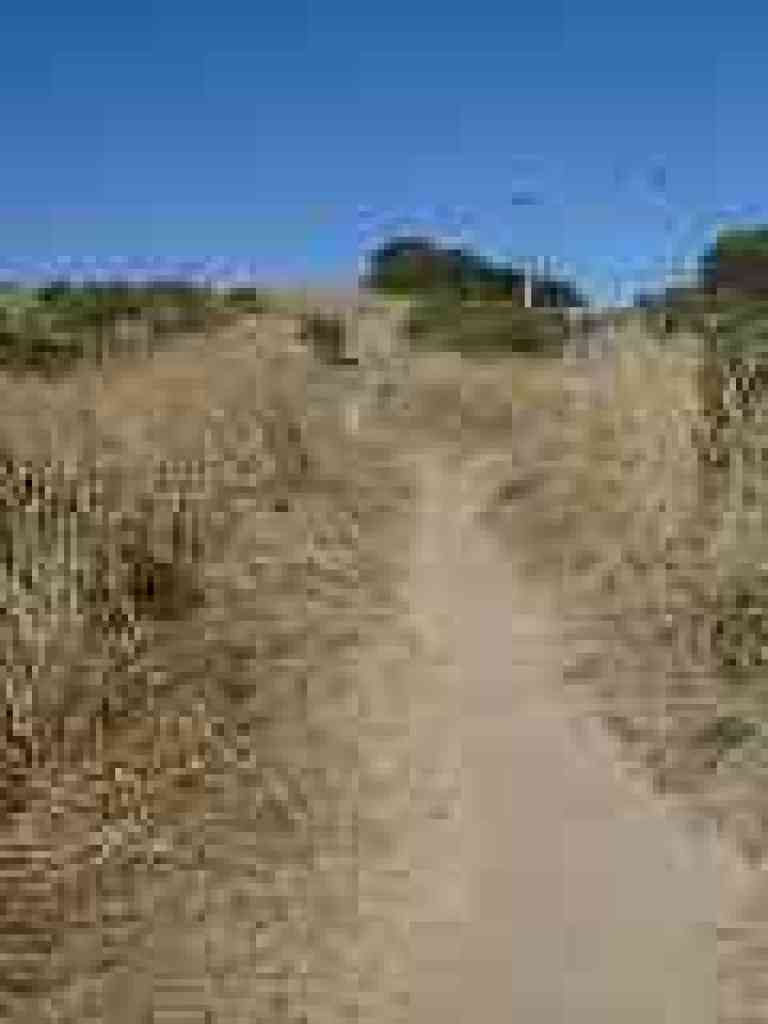 Along Page Mill Road