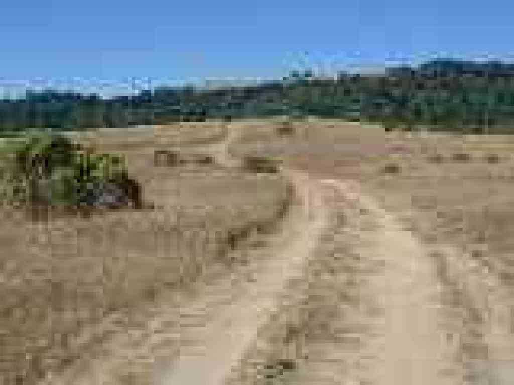 View to Russian Ridge