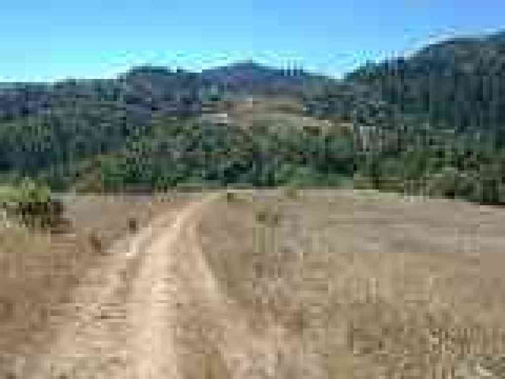 Skid Road Trail visible