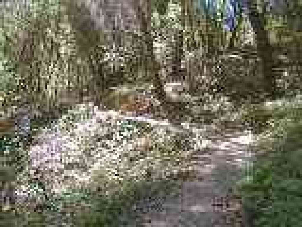 Approaching junction