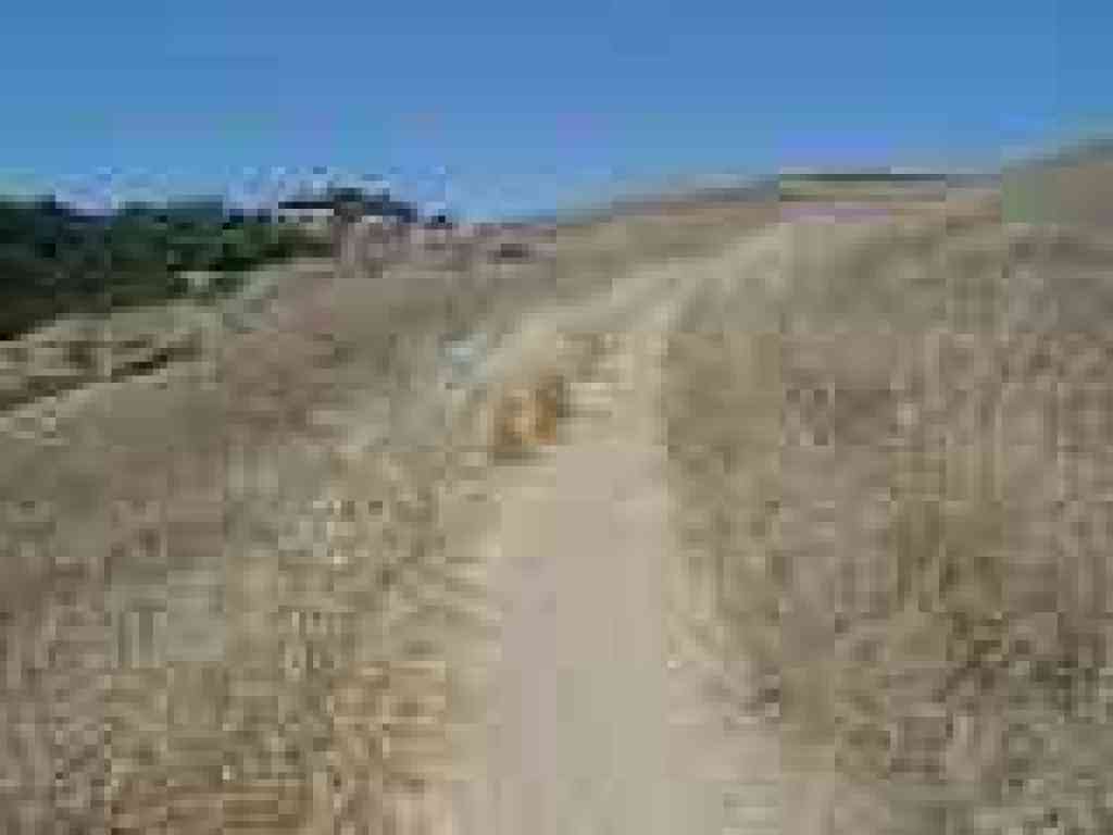 Climbing through grassland