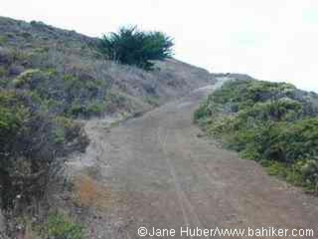 One of the easy to follow wide sections of trail