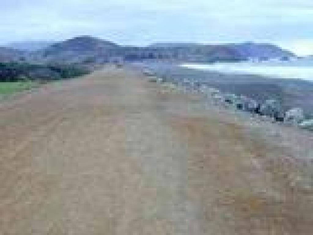 View south