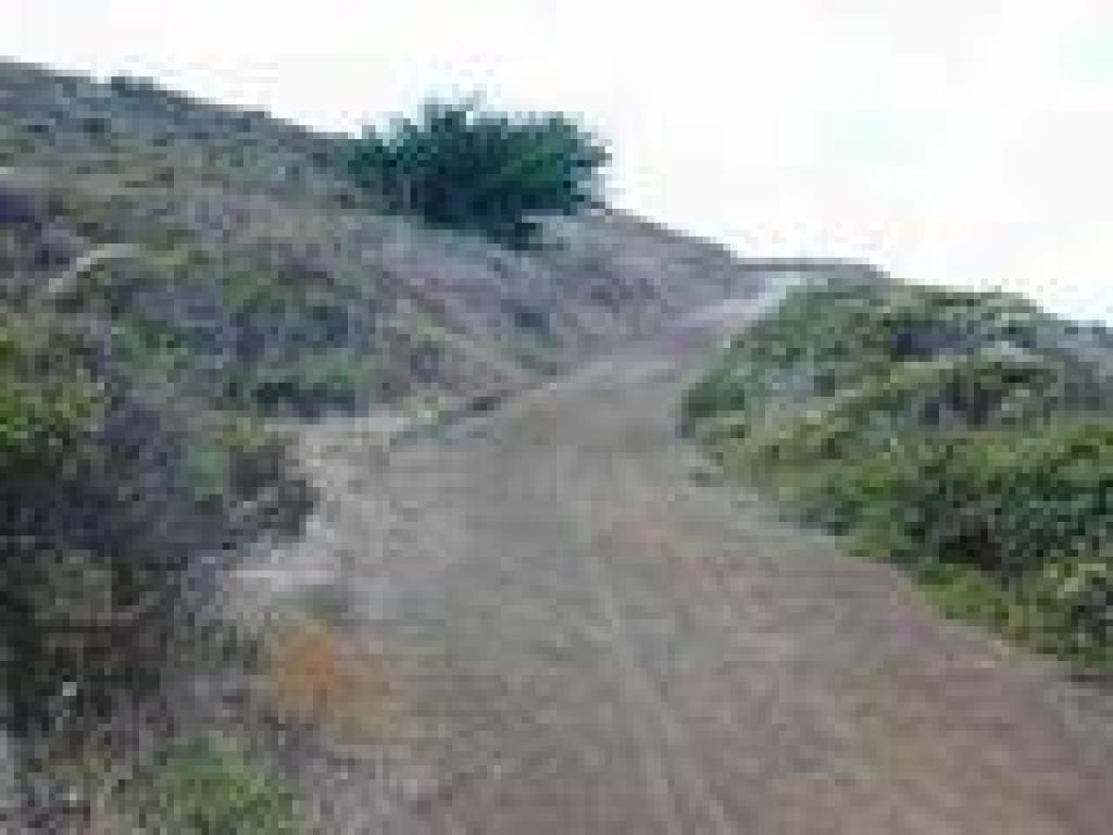 Trail