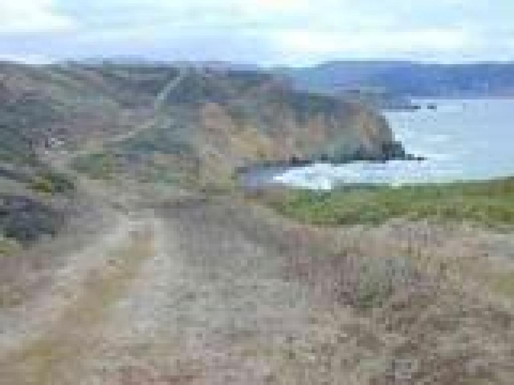 View south