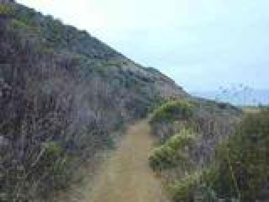 Trail across the hillside