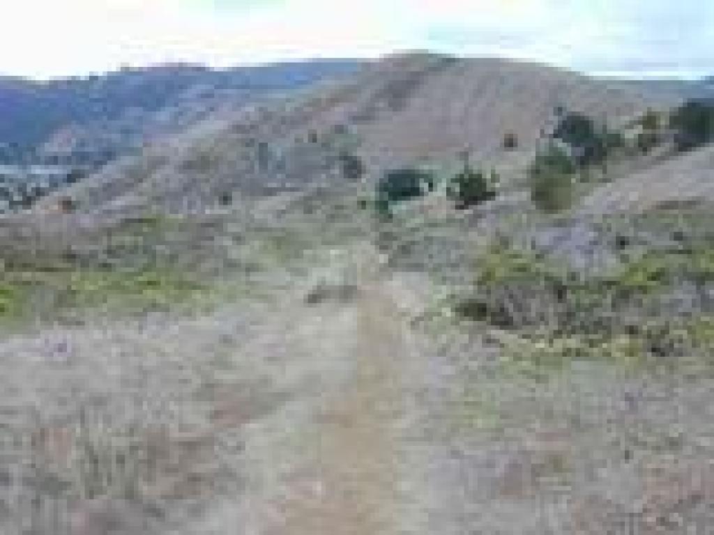 Descending path
