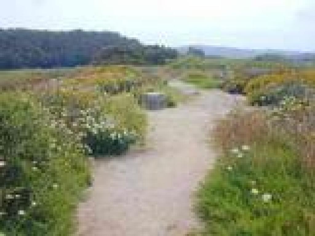 Trail