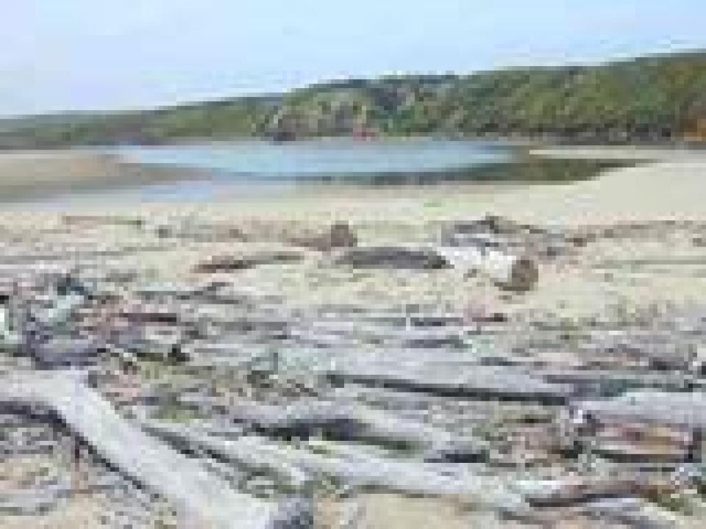 Pescadero Creek