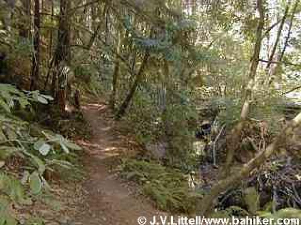 Miramontes Trail