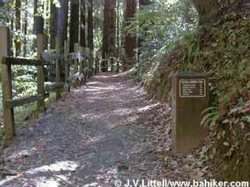 Crystal Springs Trail
