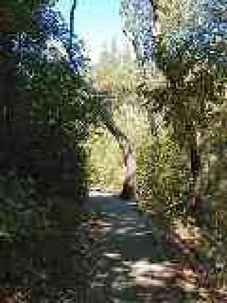 Crystal Springs Trail
