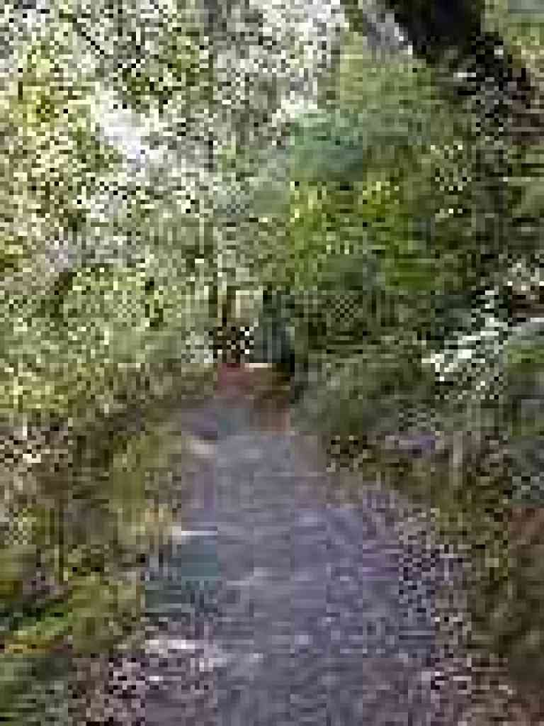 Downhill