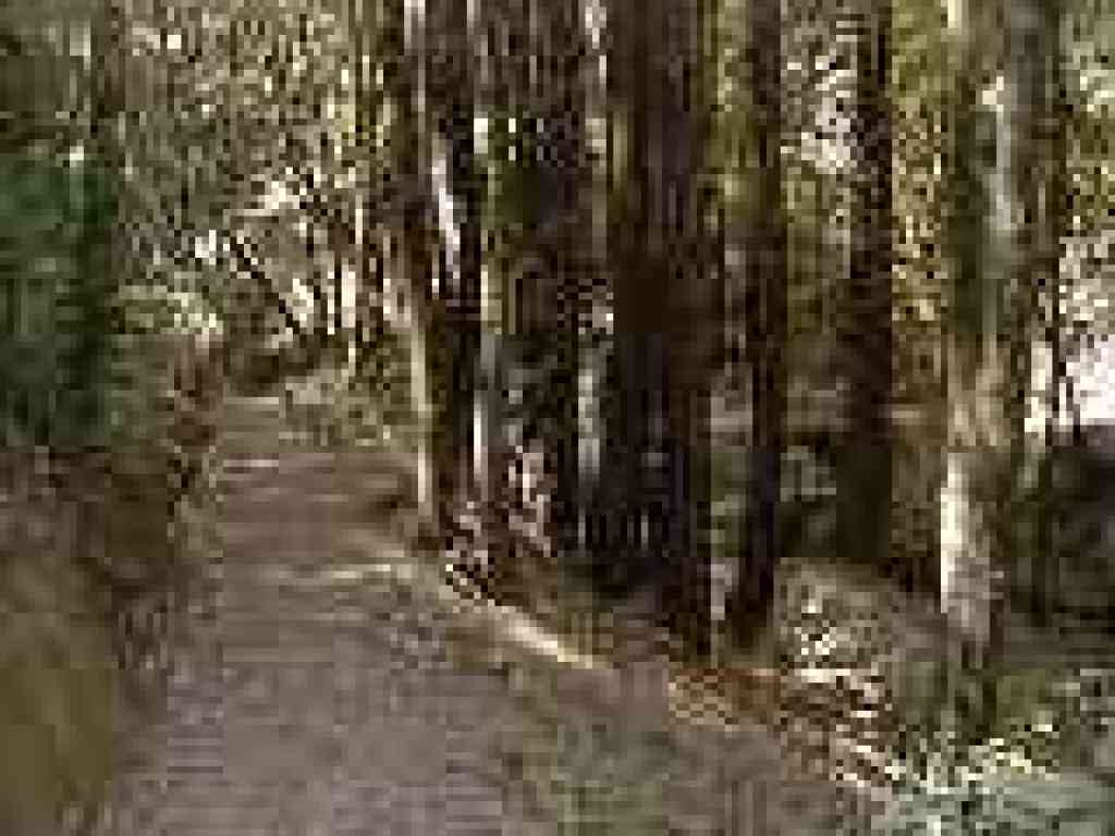 Approaching junction