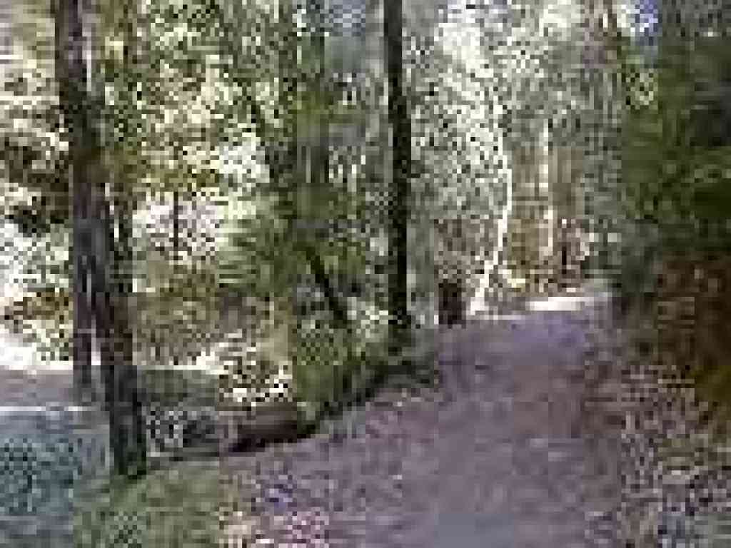 Approaching Richard's Road